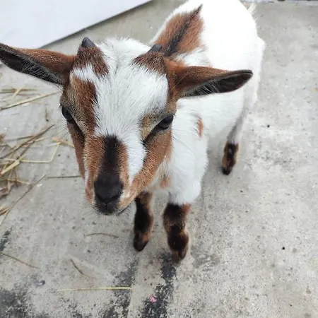 Maison Chez L'habitant Avec Jacuzzi
